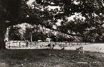 Click here to see the picture (hertenkamp.jpg)