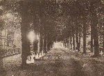 Click here to see the picture (rijsenburgselaan2.jpg)