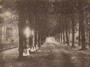 rijsenburgselaan2
